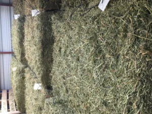 Lucerne bales 50Kgs